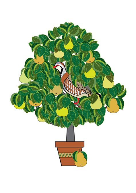 A Partridge in A Pear Tree on Behance