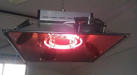 Poultry Brooder-Heat Light, Infrared Heat Lamp, Diesel Heater, Gas Heater