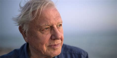 David Attenborough Just Opened Up About His Recent Health Problems – Sick Chirpse