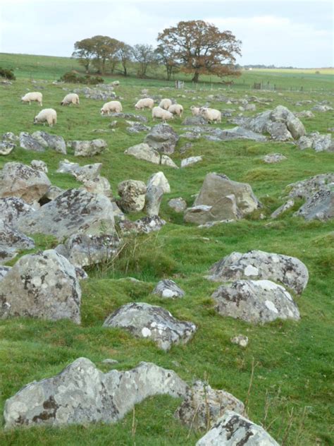 Devizes Days in Words and Pictures 2015: The Sarsen Stone Valley on Fyfield Down near Marlborough.