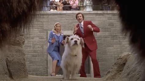 Behold: the 12 Best Talking Dog Movies of All Time