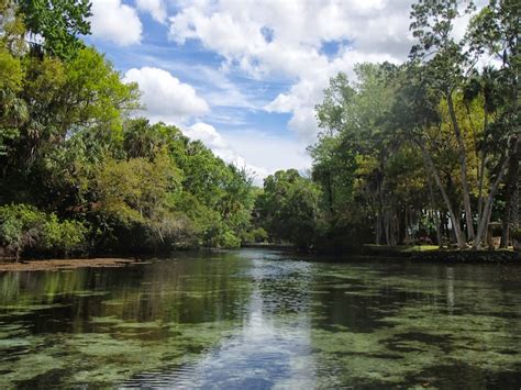 Sweet Escapes: Homosassa Springs