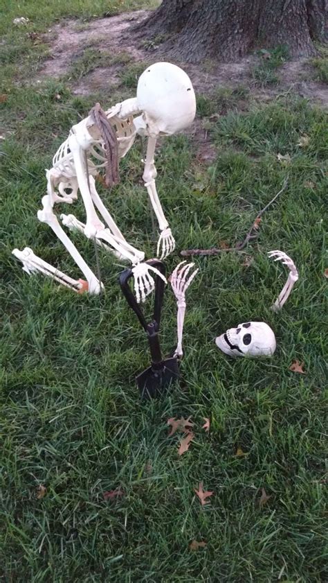 Pin by rmgoss on HALLOWEEN in 2024 | Funny poses, Funny skeleton, Skeleton pics