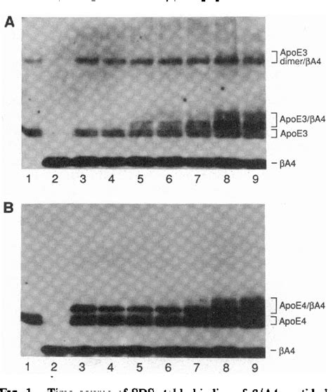 Apolipoprotein E3 | Semantic Scholar