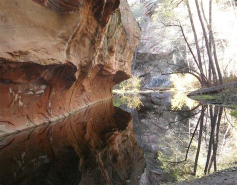 Hiking in Oak Creek Canyon | Smithsonian Photo Contest | Smithsonian Magazine