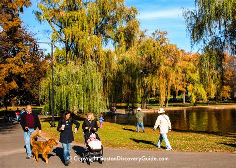 Boston Fall Foliage 2024 - 11 Best Places to See It - Boston Discovery ...