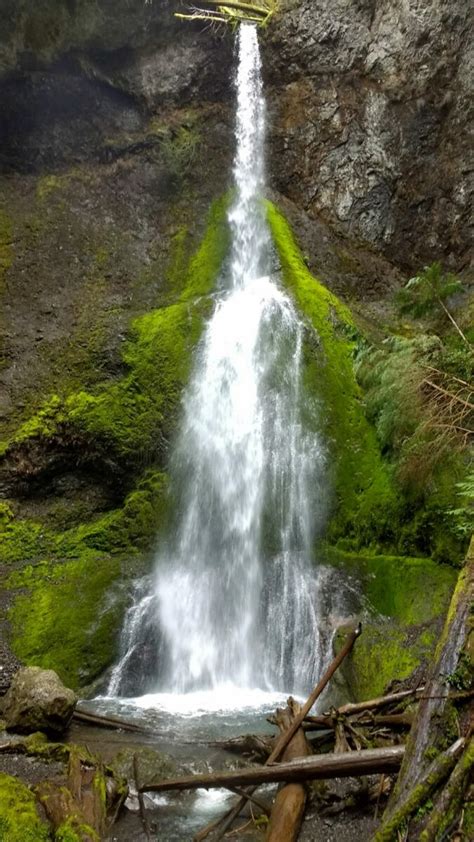 5 Best Olympic National Park Waterfalls - Ordinary Adventures