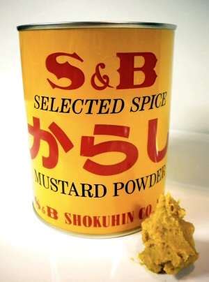 Karashi Mustard - The Japanese Kitchen