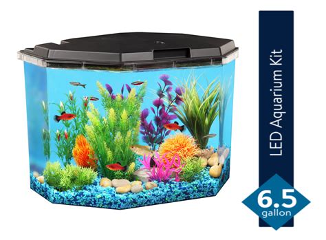 Aqua Culture 6.5-Gallon Semi-Hex Aquarium Kit with LED Lighting and Power Filter, Ideal for a ...