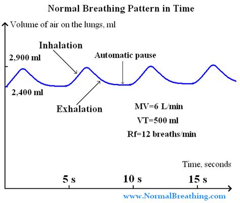 Normal breathing rate (chart) in time Respiratory Therapy, Respiratory System, Normal Breathing ...