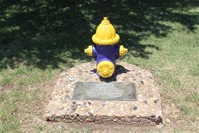 That Darn Dog: Hardin-Simmons Mascot Lives on in Campus Lore - Abilene, TX - News Article ...