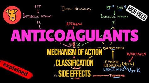 ANTICOAGULANTS Mechanism of action Side effects Pharmacology of Blood clotting - YouTube