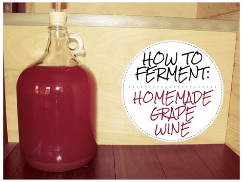 How to make WILD FERMENTED Homemade Grape Wine - YouTube | Wild grape wine recipe, Grape wine ...