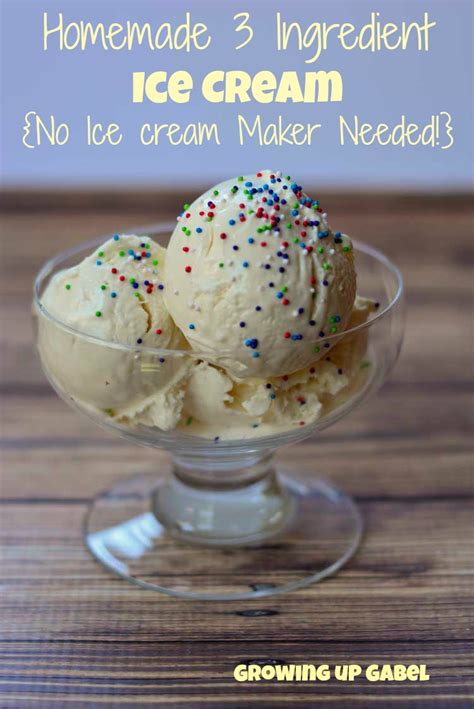 Homemade Ice Cream with only 3 Ingredients {No Ice Cream Maker Needed!}