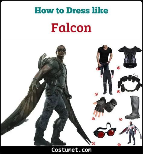 Falcon (Avengers) Costume for Cosplay & Halloween 2023