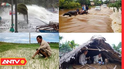 Biến đổi khí hậu và những hậu quả khôn lường: Thiên tai hay nhân tai ...