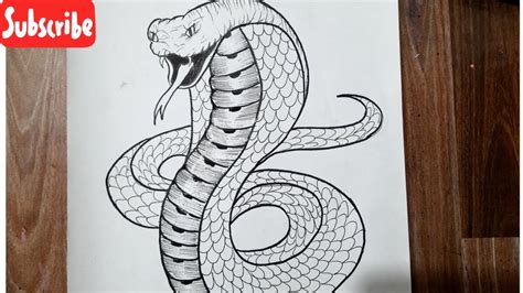 How to draw a cobra snake easy step by step || Easy Animal drawing - YouTube