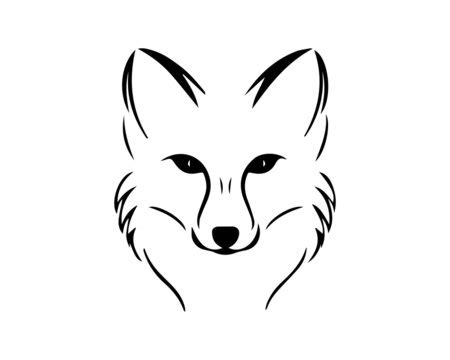 Fox Drawings