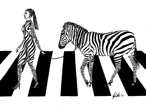 Weird Dreaming-Zebra Crossing by jjzapp on DeviantArt