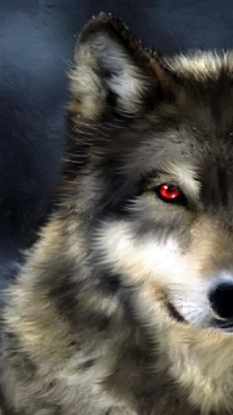 Wolf Red Eyes Wallpapers - Top Free Wolf Red Eyes Backgrounds ...