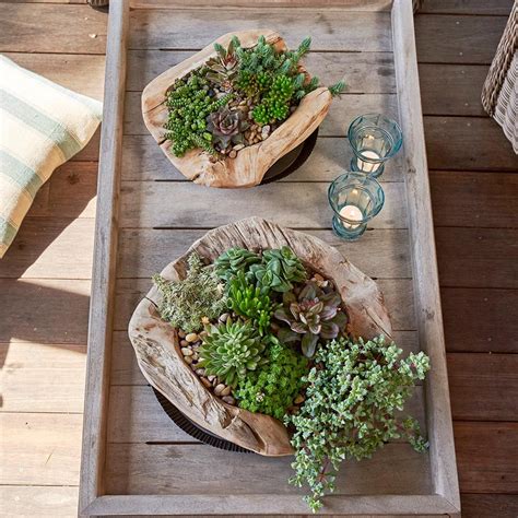 Ruffled Metal Plant Tray | White Flower Farm