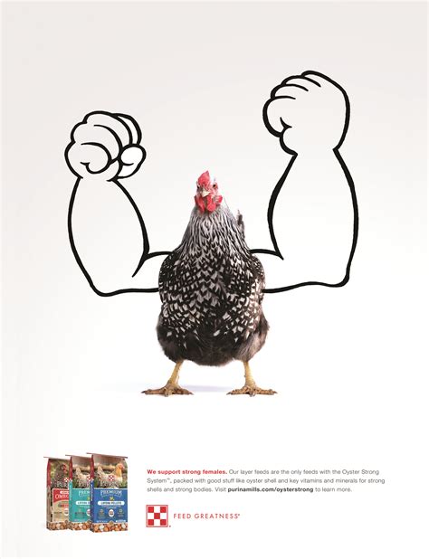 Print ad: Purina Chicken Feed: Strong Chickens