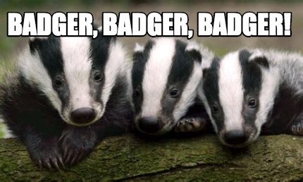 Meme Creator - Funny badger, badger, badger! Meme Generator at MemeCreator.org!