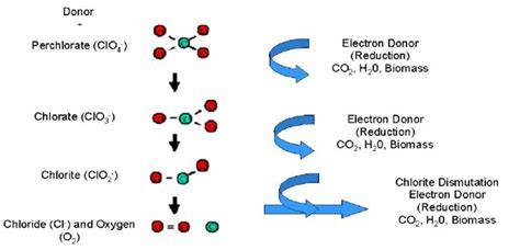 File:Krug-article 1. Fig2 Biodegradation Pathways.PNG - Enviro Wiki