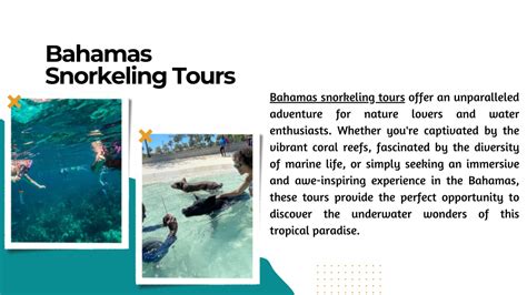 PPT - Bahamas Snorkeling Tours PowerPoint Presentation, free download - ID:13024472