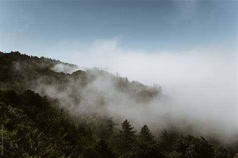 "Santa Cruz Mountains" by Stocksy Contributor "Ryan Tuttle" - Stocksy