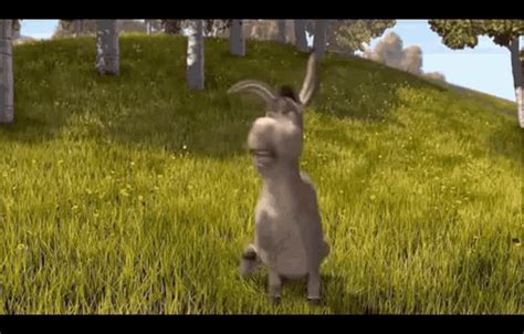 Donkey Shrek GIF - Donkey Shrek Sad - Discover & Share GIFs