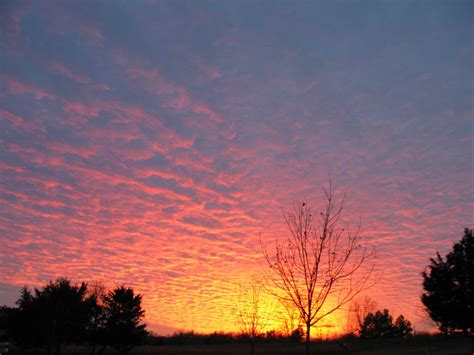 Fall sunset at the farm. | Family farm photos, Farm photo, Family farm