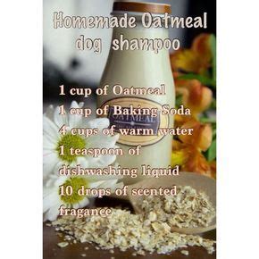 Homemade Dog Shampoo, Best Dog Shampoo, Diy Shampoo, Homemade Conditioner, Puppy Shampoo, Dog ...
