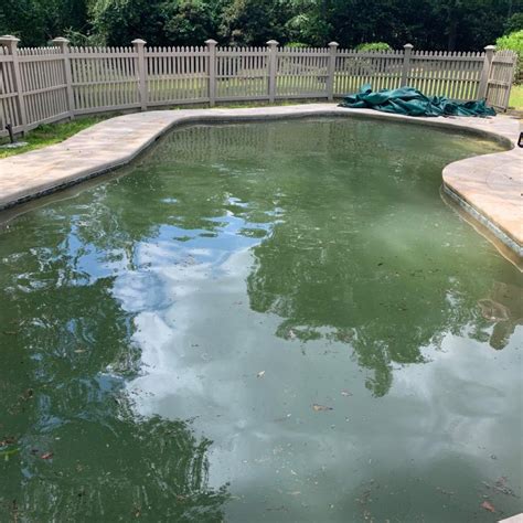 Jules's Green Pool Algae Treatment Program - Talking Pools Podcast News