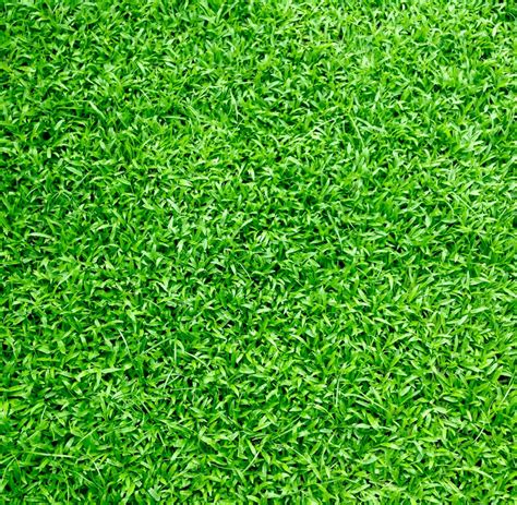 7 Free Grass Repeating Background Patterns for Photoshop