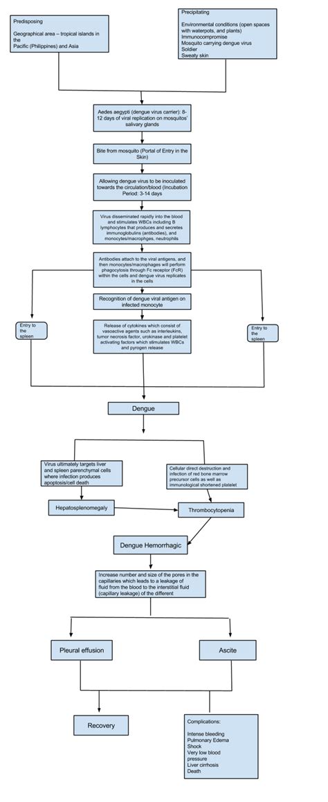 Dengue Hemorrhagic Fever - RNpedia