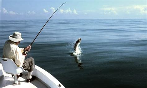 Tarpon Sport Fishing in Costa Rica | Sport Fishing Charters |®FishCostaRica