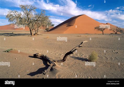 Desert in Namibia Stock Photo - Alamy