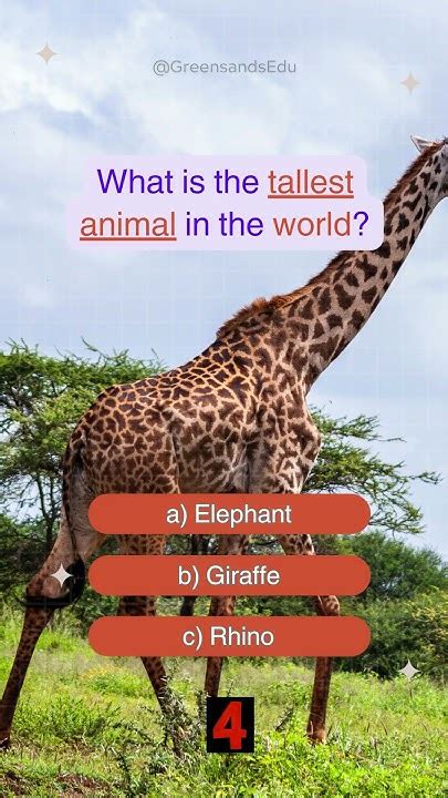 What is the tallest animal in the world? #worldquiz #challenge # ...