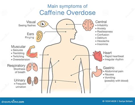 Main Symptoms of Caffeine Overdose. Stock Vector - Illustration of ...