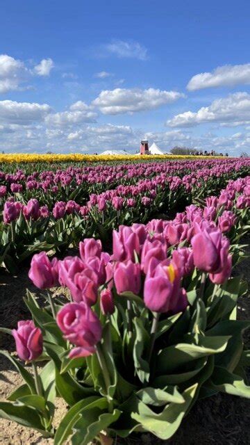 Roseburg Oregon Weather Year Round | Seasonal Guide To Weather In Roseburg Oregon | The Beckham ...