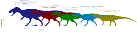 Giant Jurassic Theropods Size Comparison by SpinoInWonderland on DeviantArt