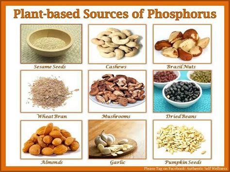 Vegan Phosphorus | Nutritious meals, Vegan nutrition, Nutritious