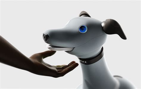 laika AI robot dog offers physical & emotional support in space