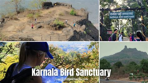 Karnala Bird Sanctuary, Panvel- Travel Guide (2023)