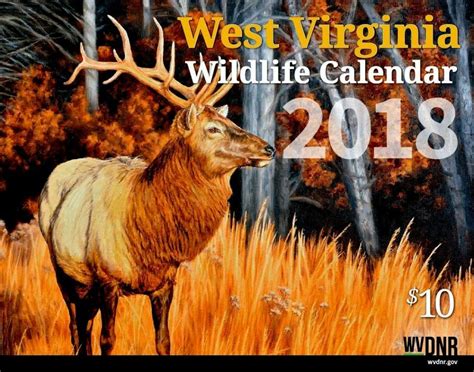 W.Va. DNR seeks wildlife paintings for 2019 calendar - West Virginia ...