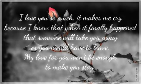 I Love You So Much, It Makes Me Cry - SILVER QUOTES