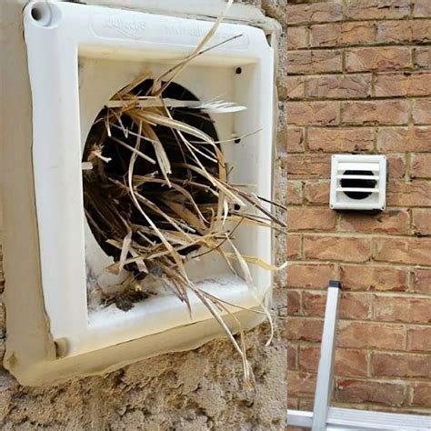 How to Replace an Outside Dryer Vent Cover - MMI Home Improvement