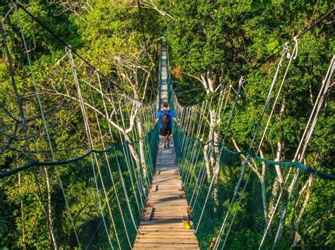 City of Puerto Maldonado: The happiest entrance to the jungle