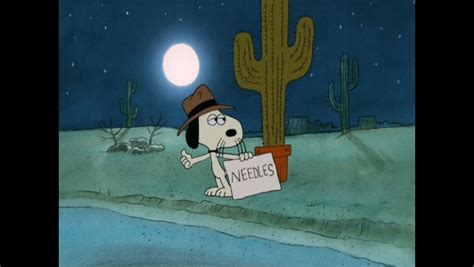 a cartoon dog holding a sign in front of a cacti with a full moon behind it